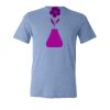 BELLA + CANVAS 3413 Triblend Tee Thumbnail