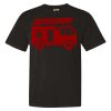 Comfort Colors 1717 Unisex Garment-Dyed Heavyweight T-Shirt Thumbnail