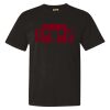 Comfort Colors 1717 Unisex Garment-Dyed Heavyweight T-Shirt Thumbnail